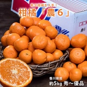 柑橘「農6」 香川県産 約5kg 秀～優品 サイズ混合（小・中・大玉） 常温 [ご注文受付は2025年4月10日（木）決済完了分まで]