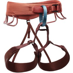 モーメンタム ウィメンズ BD13197 バハサンライズ Mサイズ [クライミング ハーネス]