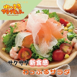 ヨドバシ.com - トツボシ TOTSUBOSHI （T）わっふるサラダ