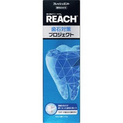 リーチ 歯石対策プロジェクト 歯みがき 120g