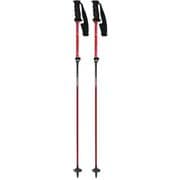 LC-FS/RRD 13000340F RRD 95-120cm 2本セット [スキー ストック 伸縮式]