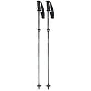 LC-FS/BLK 13000341F BLK 95-120cm 2本セット [スキー ストック 伸縮式]