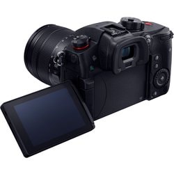 ヨドバシ.com - パナソニック Panasonic LUMIX GH5 II 高倍率ズーム ...