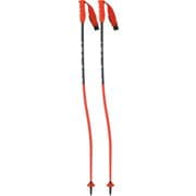 RD GS JUNIOR OZ35024 105cm [スキー ストック ジュニア]