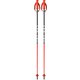 RD SL JUNIOR OZ35124 100cm [スキー ストック ジュニア]