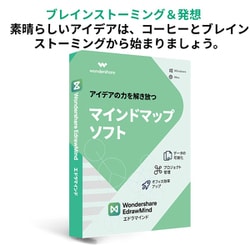 EdrawMind 永続ライセンス PKG版 Windows対応