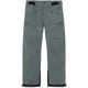 ゴアテックススリーレイヤーパンツ GORE-TEX 3L Pants G34352 ピューター PE サイズ3 [スキーウェア パンツ メンズ]