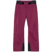 G-エンジニアード レギュラーパンツ G-Engineered Regular Pants G34353R パープルポーション PT サイズ3 [スキーウェア パンツ メンズ]