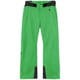 G-エンジニアード レギュラーパンツ G-Engineered Regular Pants G34353R ブライトグリーン RG サイズ5 [スキーウェア パンツ メンズ]