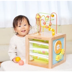 WOODY PUDDY あそびたっぷり フルーツアクティビティボックス ウッディプッディ あそびたっぷり フルーツアクティビティ