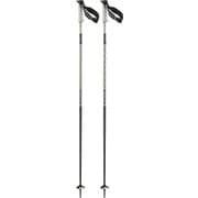 POLAR PRO S3 L47630200 White Moss 115cm 2本セット [スキー ストック]