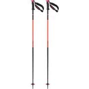 POLAR PRO S3 L47630300 Flame 110cm 2本セット [スキー ストック]