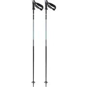 POLAR PRO S3 L47630400 Lilac 120cm 2本セット [スキー ストック]