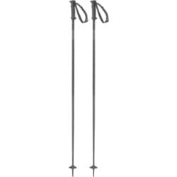 POLAR ACCESS L47631300 Black 110cm 2本セット [スキー ストック]