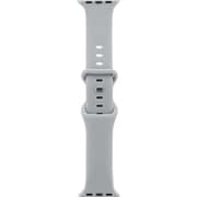 LN-AW41B36GY [Apple Watch 38/40/41mm バンド（Series 10/42mm対応） 「CORVIN」 ベーシックシリコンバンド グレー]