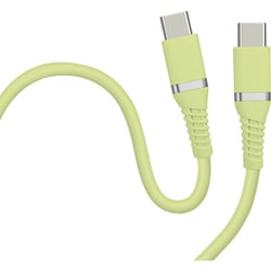 PD100W対応 Type-C to Cケーブル USB2.0 1m ピスタチオグリーン HD-STCC100W1GN