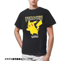 ヨドバシ.com - ファインプラス 22863174 [ポケットモンスター
