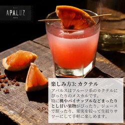 アパルス セニソ メスカル トラディショナルボトル 正規品 40度