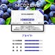 誘導加熱式タバコ専用スティック NICOZERO ICE BLUEBERRY（アイスブルベリー） 小箱（1箱、20本入り） IQOS ILUMA専用