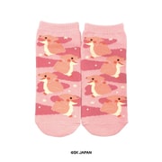 ゆめふわ恐竜 アンクルソックス プテラノドン [キャラクターグッズ]
