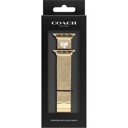 14700255 [Apple Watch 38/40/41mm用 バンド YG メッシュ]