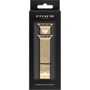 14700255 [Apple Watch 38/40/41mm用 バンド YG メッシュ]