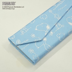 PEANUTS メガネケース PND48172 水色