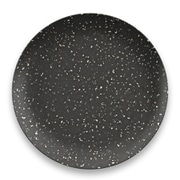 割れない食器 食洗機対応 ORION SPECKLES (オリオンスペックルズ) フラット大皿 ディナープレート 直径約27cm アウトドア ケータリング バンブーメラミン食器 黒 ブラック DN22911479