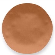 割れない食器 食洗機対応 Matte Terra Cotta （マットテラコッタ） 中皿 プレート 直径約22cm アウトドア ケータリング バンブーメラミン食器 ブラウン 茶色 TT21826070