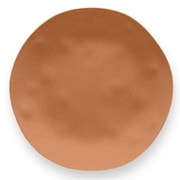割れない食器 食洗機対応 Matte Terra Cotta (マットテラコッタ) 大皿 ディナープレート 直径約27cm アウトドア ケータリング バンブーメラミン食器 ブラウン 茶色 TT21825974