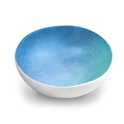 割れない食器 食洗機対応 OCEANIC OMBRE (オセアニックオンブル) サービングボウル 直径約18cm アウトドア ケータリング メラミン食器 青色 ブルー DN22913374