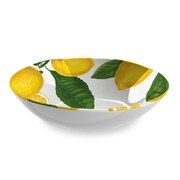割れない食器 食洗機対応 Lemon Figural (フレッシュレモン) サービングボウル 直径約31cm アウトドア ケータリング メラミン食器 イエロー 黄色 TT20745876