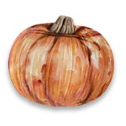 割れない食器 Pumpkin(パンプキン) 大皿 サービングプレート 30cm アウトドア ケータリング メラミン食器 ブラウン DN22921171