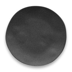 割れない食器 食洗機対応 Matte Black（マットブラック） 大皿 ディナープレート 27cm アウトドア ケータリング バンブーメラミン食器 黒 ブラック TT20743872