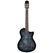 ナイロン弦 エレキギター エレガット Stage Black Burst