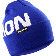 HERMITAGE BEANIE LC2366400 Surf The Web [ニットキャップ ビーニー]