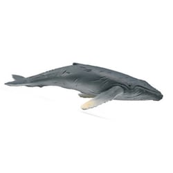 88963 COLLECTA フィギュア ザトウクジラ（子） [キャラクターグッズ]