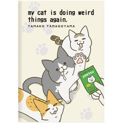 022054-52 [【限定】A5ノート うちの猫がまた変なことしている うち猫B]