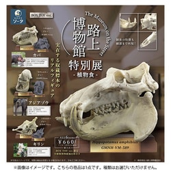 路上博物館 特別展 -植物食- ボックストイ版 1個 [コレクショントイ]