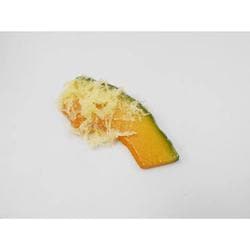 食品サンプルマグネット ナンキン天
