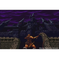 ヨドバシ.com - 瑞起 ZUIKI 悪魔城ドラキュラ・クォース DELUXE