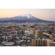 300-399 シリーズ・日本の都市43 岩手県盛岡市「岩手山と冬の盛岡」 [ジグソーパズル 300ピース]