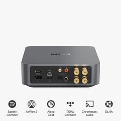 WiiM Amp マルチルームストリーミングアンプ (Space Gray) アンプ内蔵でHDMI ARCも搭載したストリーマー「WiiM AMP」 - AV