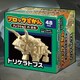 ブロックずかん きょうりゅう トリケラ