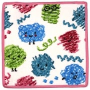 F764 [ハンカチタオル Doodles Wash cloth 25×25cm Raspberry-136]
