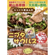 ニブタサウルス