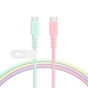 グラデーションケーブル USB2.0 PD60W 急速充電 データ転送対応 USB-C to USB-C 1m MOT-SCBCCG100-SE