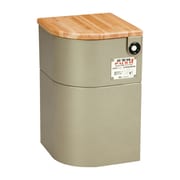 690-611 [EV椅子 トイレ用品付 天然木 ライトゴールド]