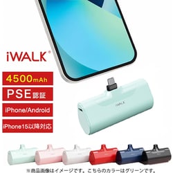 端子一体型モバイルバッテリー ノーマルタイプ 4500mAh Type-C端子 PSE認証済 グリーン RS-DBL4500C-GR