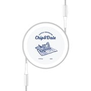ディズニーキャラクター PD60W 対応 USB2.0 リール式 Type-Cケーブル チップ&デール DNG-197CD